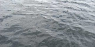 琵琶湖バスフィッシングガイドリポート ~渡辺様~ 40cm 13