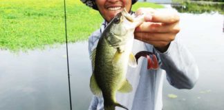 琵琶湖バスフィッシングガイドリポート~竹中様~ 38cm 9