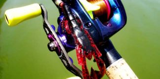 琵琶湖へ (8月6日) 10