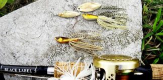 琵琶湖平湖へ (11月26日) スピナーベイト失敗 3