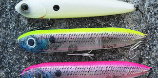 瀬田川へ (11月11日)  ヘドン チャギンスプーク 4