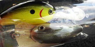 瀬田川へ (11月10日) ビッククランクのロッド 8