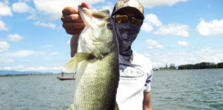 琵琶湖バスフィッシングガイドリポート ~竹中様~ 46cm 14