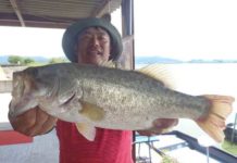 tweet釣果：ドライブクローラーで52cm!! (琵琶湖) 4