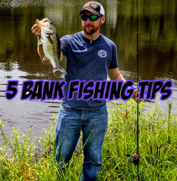 オカッパリで使いたい定番ルアー5選 (Walker Smith) 7