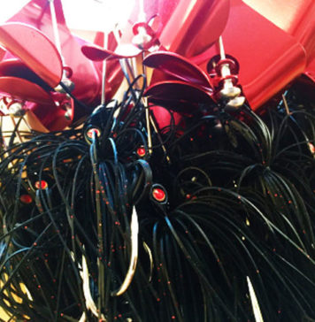 名古屋キープキャスト限定USバズ (Ima Bass) 名古屋キープキャスト限定USバズ (Ima Bass) 2