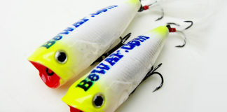 琵琶湖バスフィッシングガイドサービス受付 29