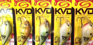 ストライクキング KVD8.0 入荷!! (つり具のブンブン・大津店) 