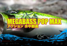 Megabass - PopMax "ポップマックス"の水中映像 2