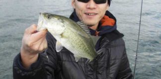 琵琶湖バスフィッシングガイドリポート ~里様~ 30cm 6