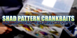 シャッドパターンのカラーチョイス!! ~シャッド編~ (ジェイコブ ウィーラー) 4