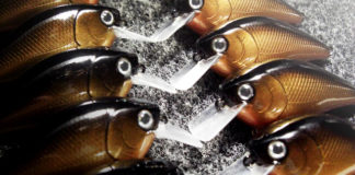 瀬田川へ (11月22日) ルアーのアイ貼り付け 8