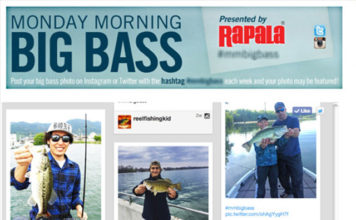 米国RAPALAのウェブサイトでリップラップガイドの釣果が掲載!! 3