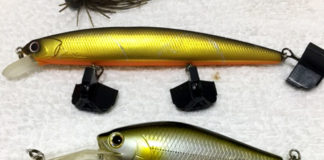 お客様からの釣果：関原様~琵琶湖で15~48cm!! 