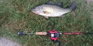 瀬田川釣果 43cm!! (bv六文銭) 2016年 