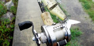 瀬田川へ (2016年 8月29日) 3