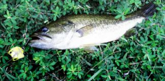 瀬田川へ (2016年 9月12日) 8