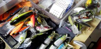 瀬田川へ (2016年 9月5日) 4