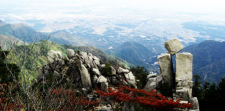 瀬田川へ (11月12日) スプーンの調整 2