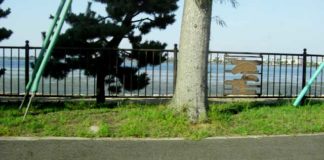 瀬田川へ (2016年 8月5日) 2