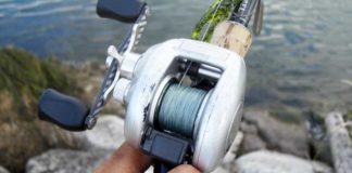 瀬田川へ (2016年 8月28日) 3