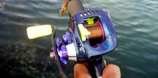 瀬田川へ (2016年 8月20日) 4