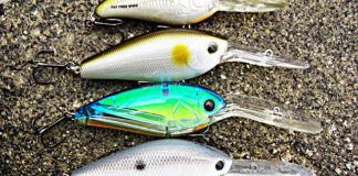 瀬田川へ (11月14日) FAT FREE SHAD VS RC 3.5XD 5