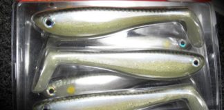 瀬田川へ (2016年 11月28日) ズームスイマーのインプレ 5