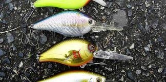 瀬田川へ (11月13日) ホムペバーナー変更 6