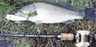 瀬田川へ (2016年 10月28日) トップで36cm 6