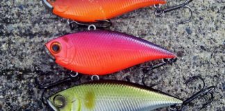 瀬田川へ (11月15日) さよならカルコンDC 4