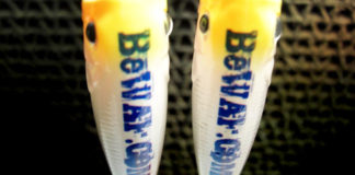 瀬田川へ (10月21日) クリアーペイント行程終了 7