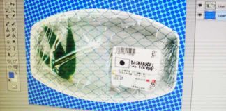 瀬田川へ (12月1日) 西の湖金鮒 完成!! 8