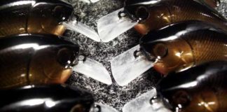 瀬田川へ (11月21日) ルアーのアイ 3