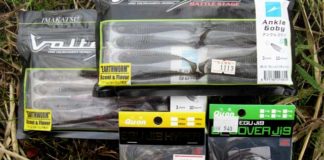 琵琶湖へ (10月26日) 大雨で退散 4