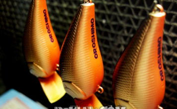 瀬田川へ (2016年 10月20日) 午後から爆風 瀬田川へ (10月20日) 午後から爆風 2