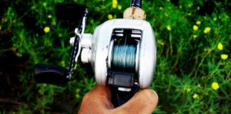 瀬田川へ (2016年 8月17日) 4