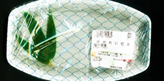 瀬田川へ (11月23日) ライトリグ投入 7