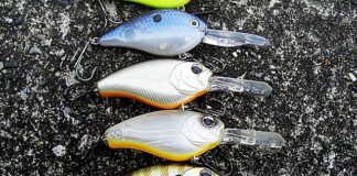 瀬田川へ (2016年 11月30日) KVD 1.5 フラットサイドのインプレ 4