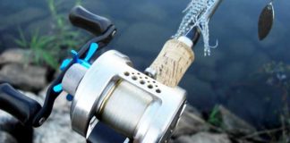 瀬田川へ (2016年 10月14日) ウィードが暖かい 4