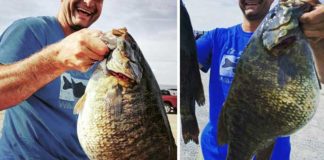 ジャイアント!! 54cm (3700g) スモールマウスが釣れる!!  (東アメリカ) 3