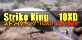 ストライクキング "10XD" の製品紹介＆水中映像 3