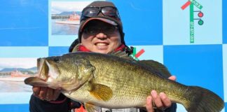 tweet釣果：メタルバイブで61cm!! (琵琶湖) 