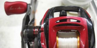 スティーズ リミテッド SV TNバージョン写真