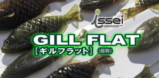 ギル系フラットベイト "ギルフラット" の紹介!! (一誠) 1
