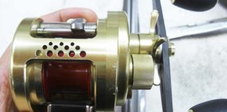 シマノ '01 カルカッタコンクエスト 写真