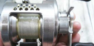 オーバーホール日記#269：シマノ 04 カルカッタコンクエストDC 洗浄＆注油 2