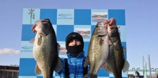 tweet釣果：ヘビダンで59cmx53cmx52cm!! (琵琶湖) 