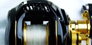 ベイトリール塗装リペイント (ダイワ TDジリオン PEスペシャル) 4