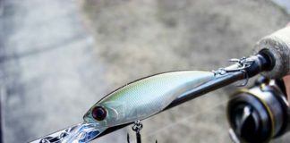 2月27日 瀬田川釣行 写真